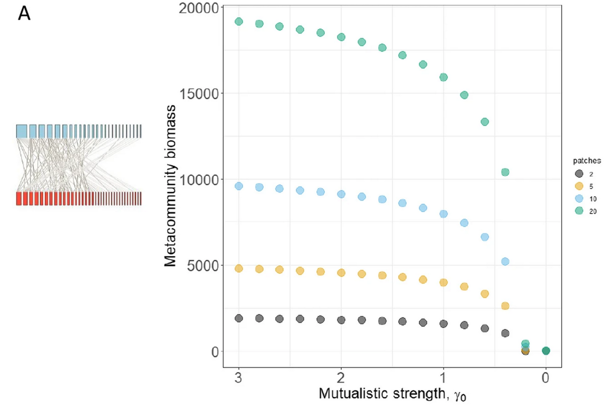 Transitions and its indicators in mutualistic meta-networks: effects of network topology, size of metacommunities and species dispersal