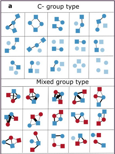 Plant metabolites modulate animal social networks and lifespan