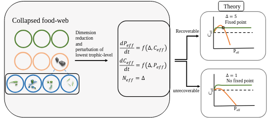 Predicting recoverability of collapsed food webs through perturbation and dimension reduction